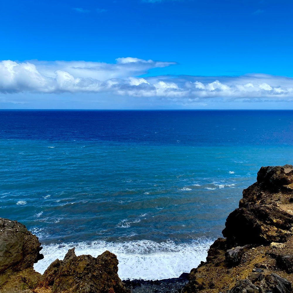 Meet your Posher, Tina